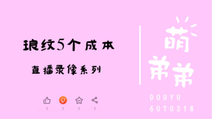 琅纹5成本