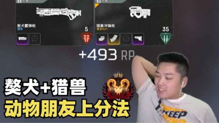 【Apex/皮特】上分密码？凡是有动物朋友的枪都很强！