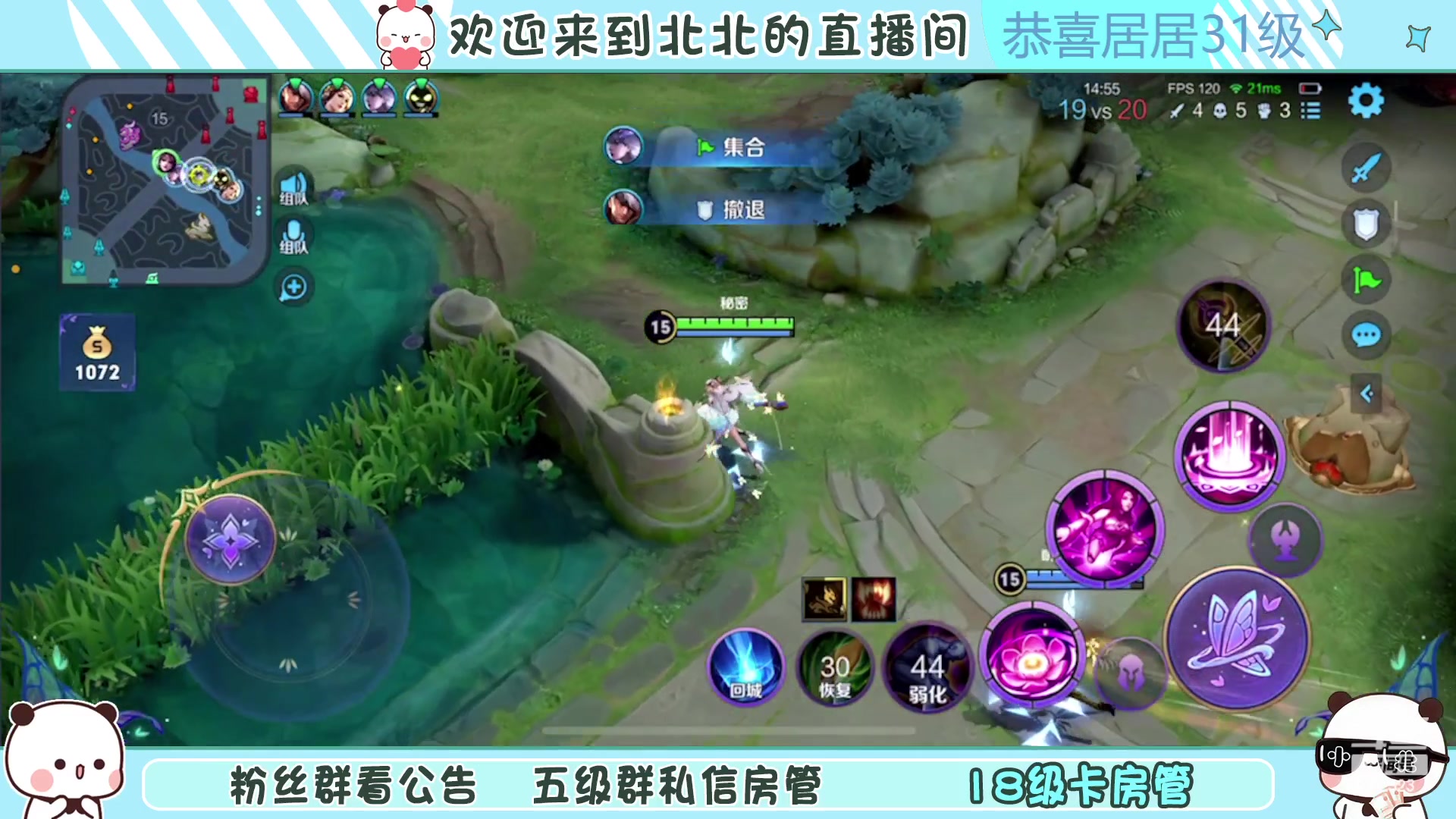 【2023-01-13 01点场】小笨蛋北北：[118段中路]巅峰2050冲第一