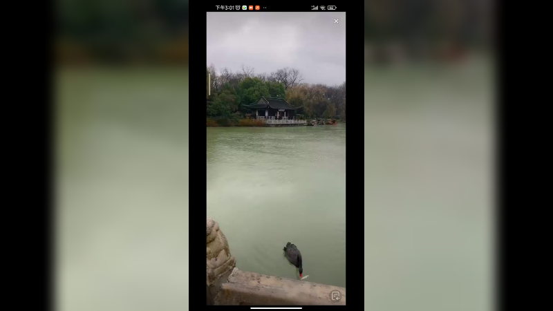 在风景区旅游，你来过这里吗