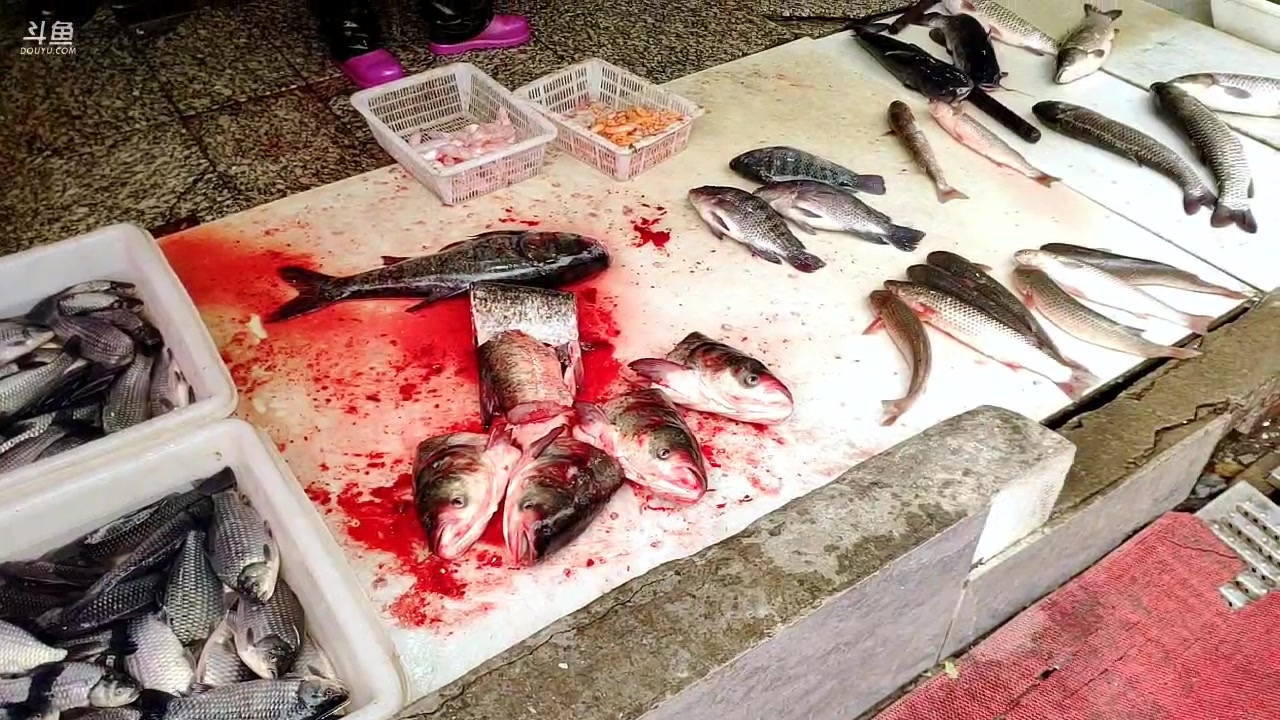 【2023-01-14 11点场】天津美食胡子：十月市场，中山公园