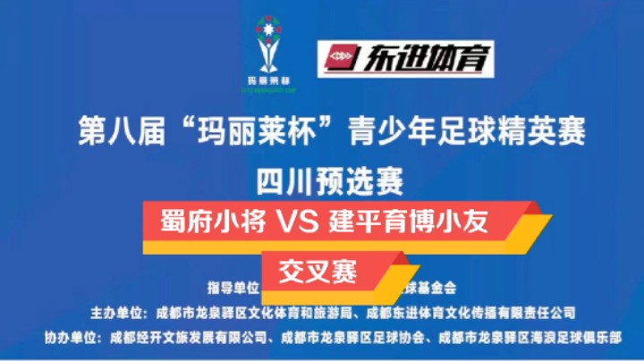 第八届“玛丽莱杯”青少年足球精英赛四川预选赛 交叉赛 蜀府小将VS育博小友