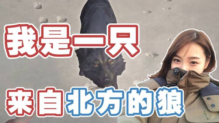 【漫漫长夜】艰难求生与狼共舞