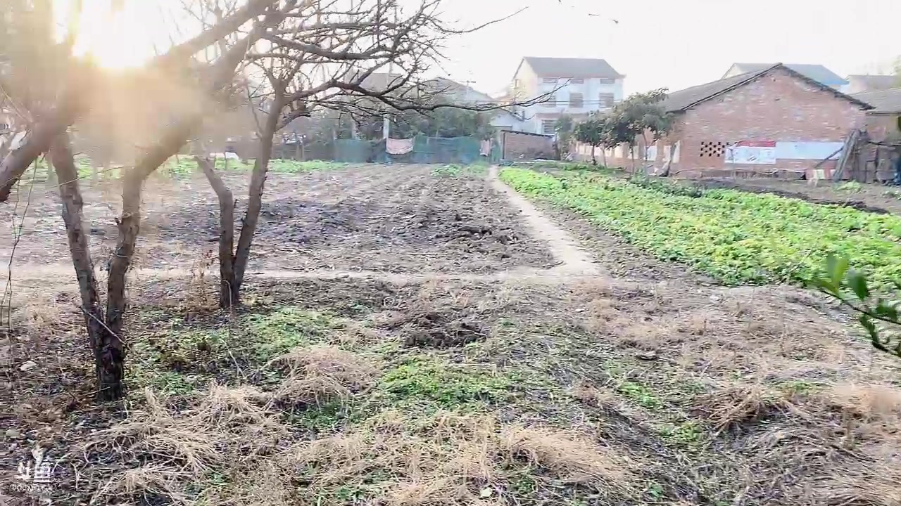 【2023-1-19 16点场】火锅大龙虾:阿龙田野大冒险！！