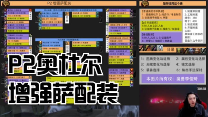 【魔兽佳琦】P2奥杜尔增强萨最全配装