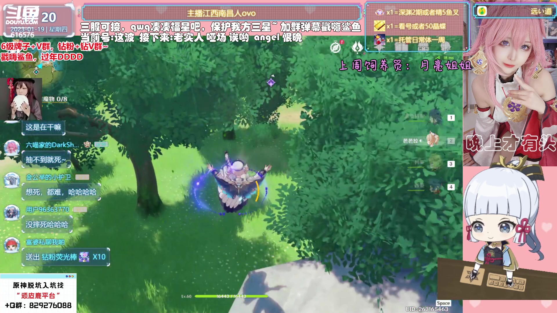 【2023-01-19 16点场】六喵喵喵丶：【看号材料晶蝶】你滴全能肝肝喵~可三服