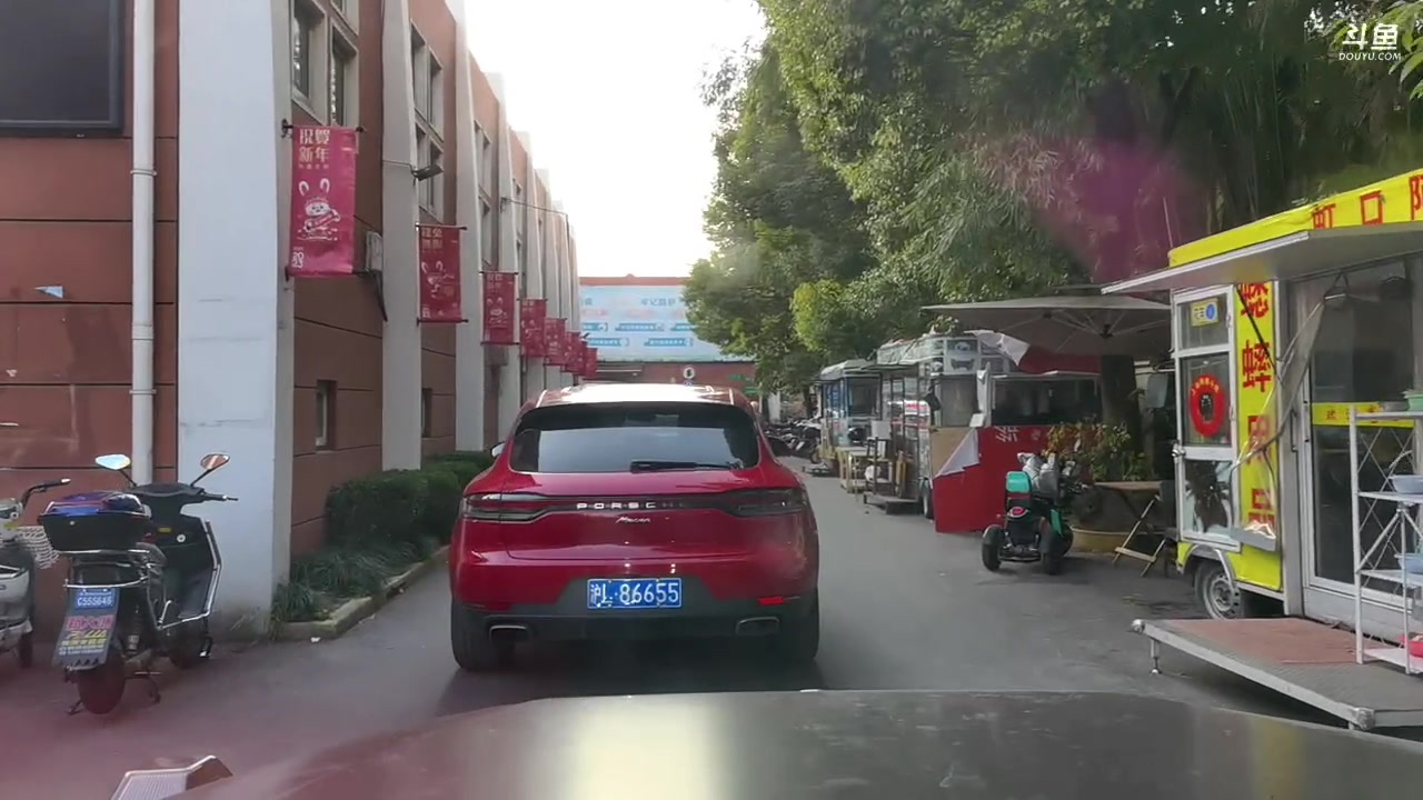 【2023-01-19 15点场】黑人毅：逛逛花鸟市场，晚上健身