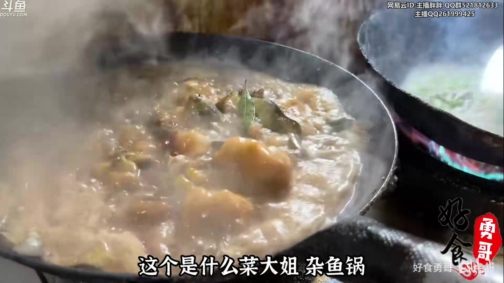 【2023-01-19 00点场】胖胖灬：胖胖OB：滔博，我的滔博，寄了！