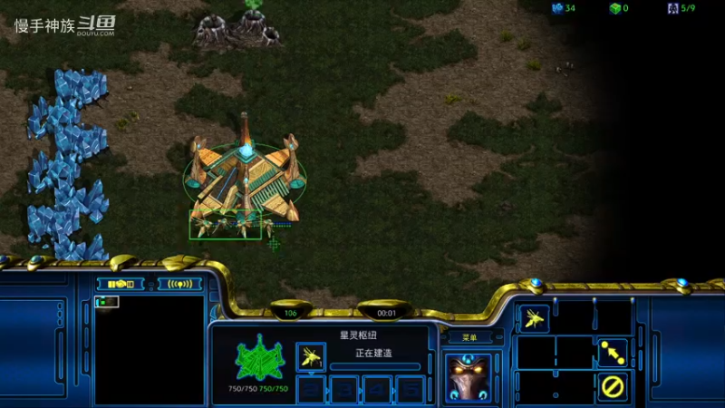 pvp-斗魂漫天航母对茫茫多龙骑-慢手神族-星际争霸