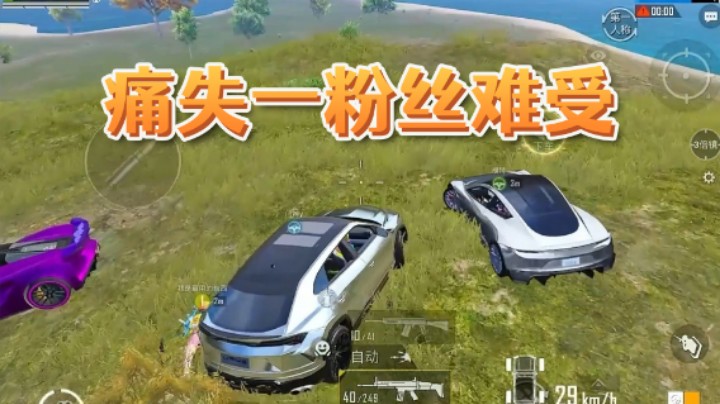 痛失一粉丝难受