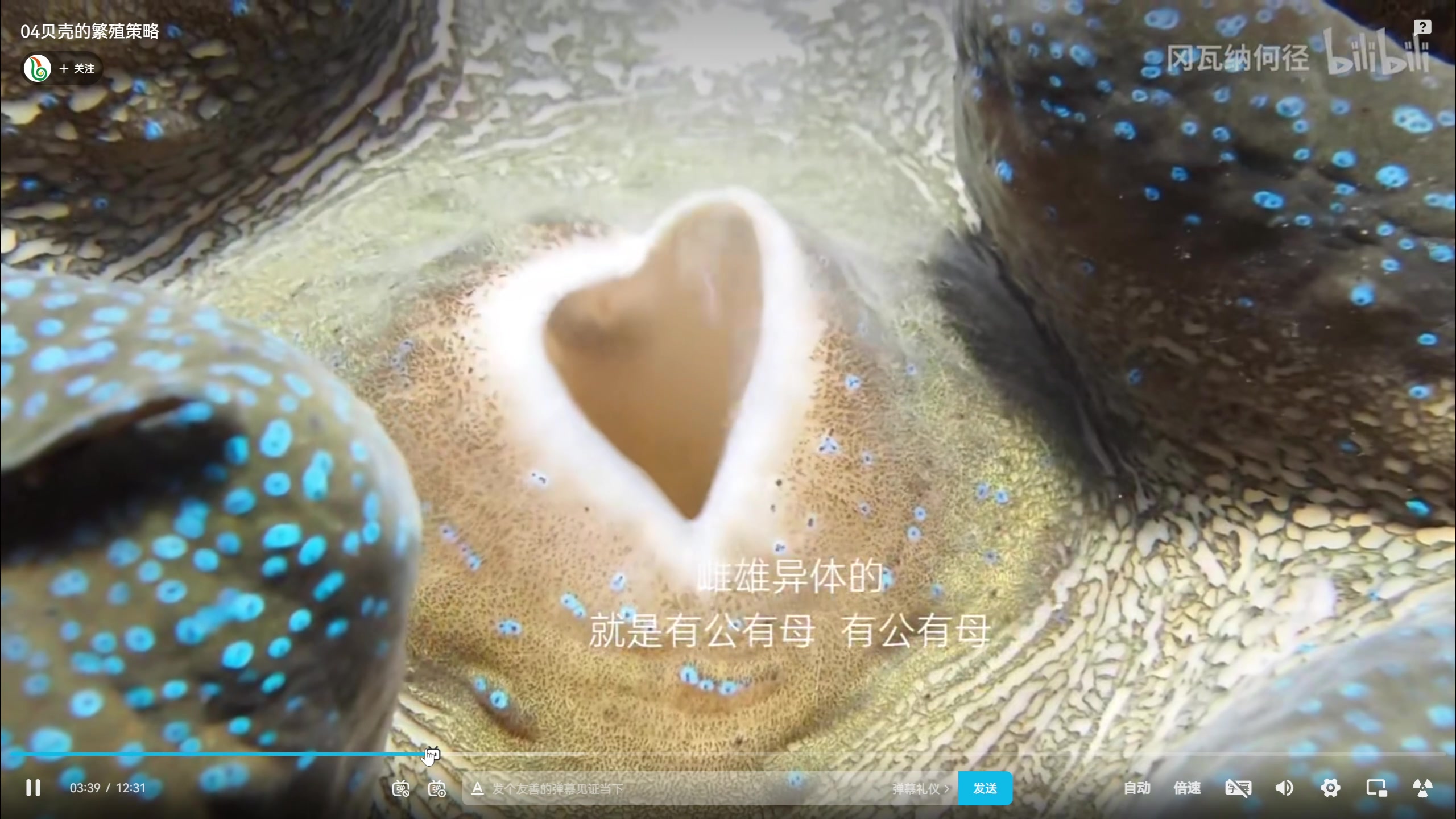 【2023-01-19 22点场】zard1991：zard1991 chill dude