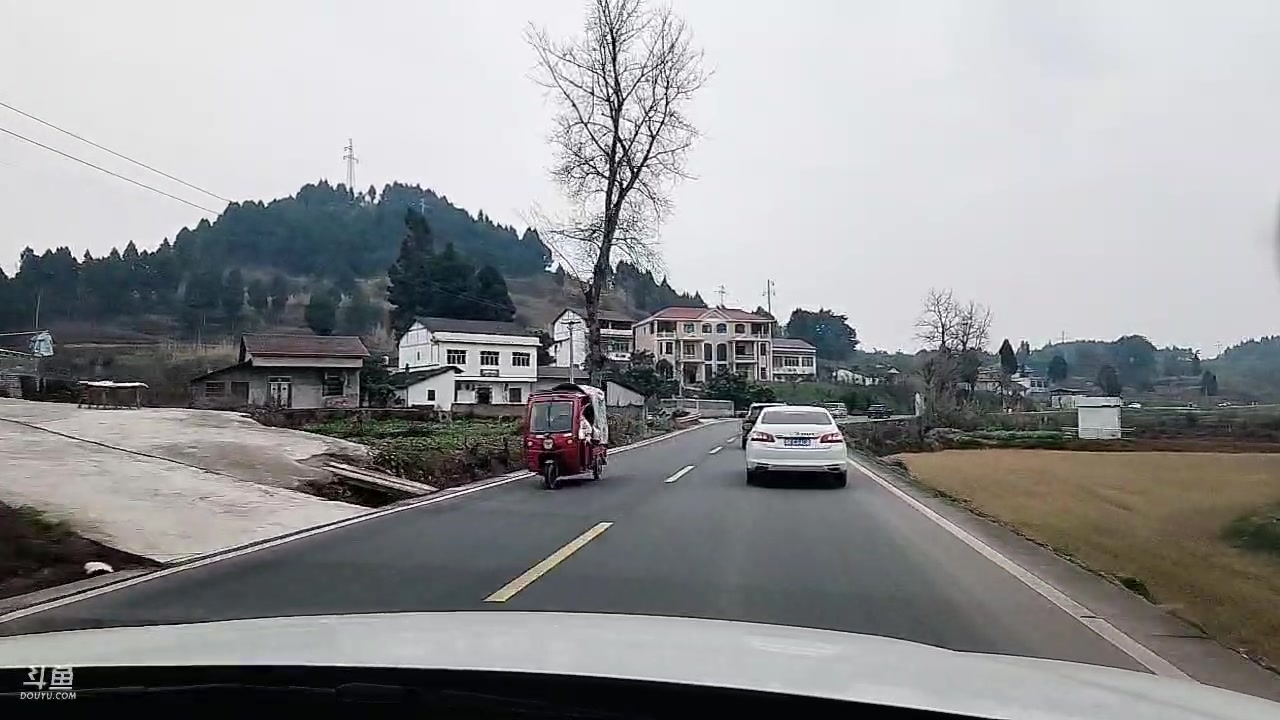 【2023-01-20 14点场】川味箩卜：送花甲回家过年