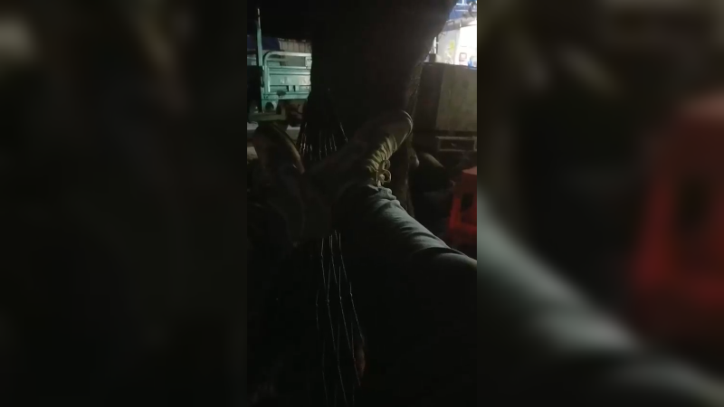 简单生活2