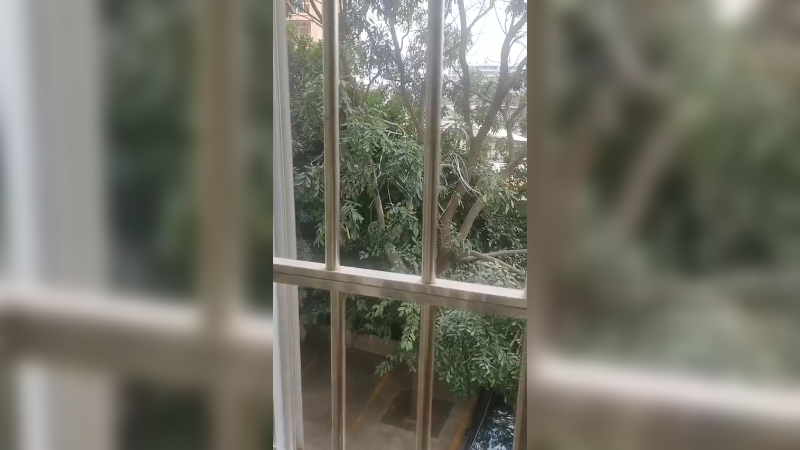 简单生活10
