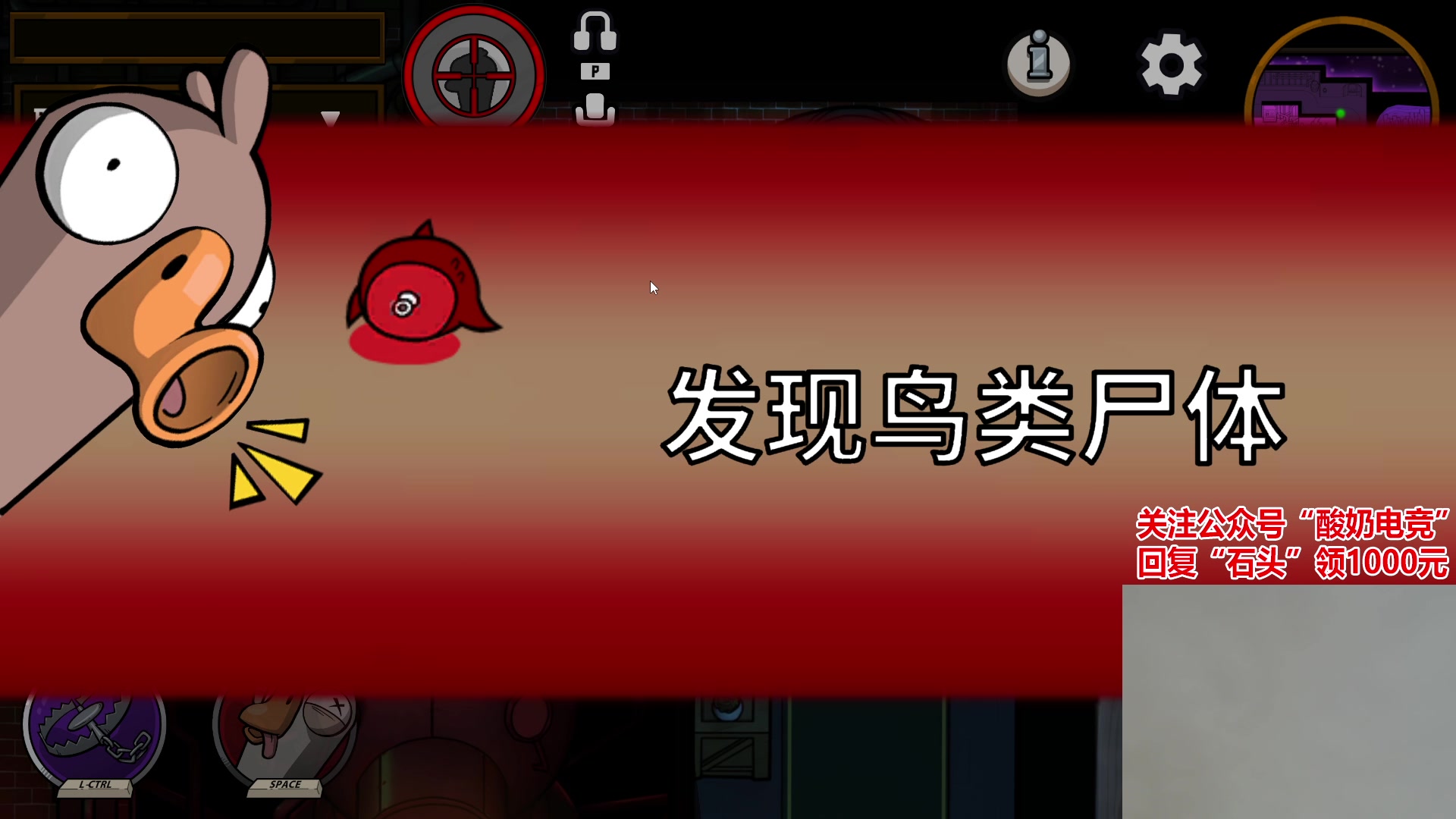 【2023-01-21 01点场】白鲨石头丶：打北部前10！！！1