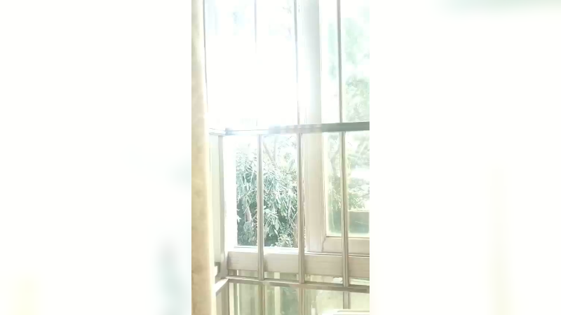 简单生活6