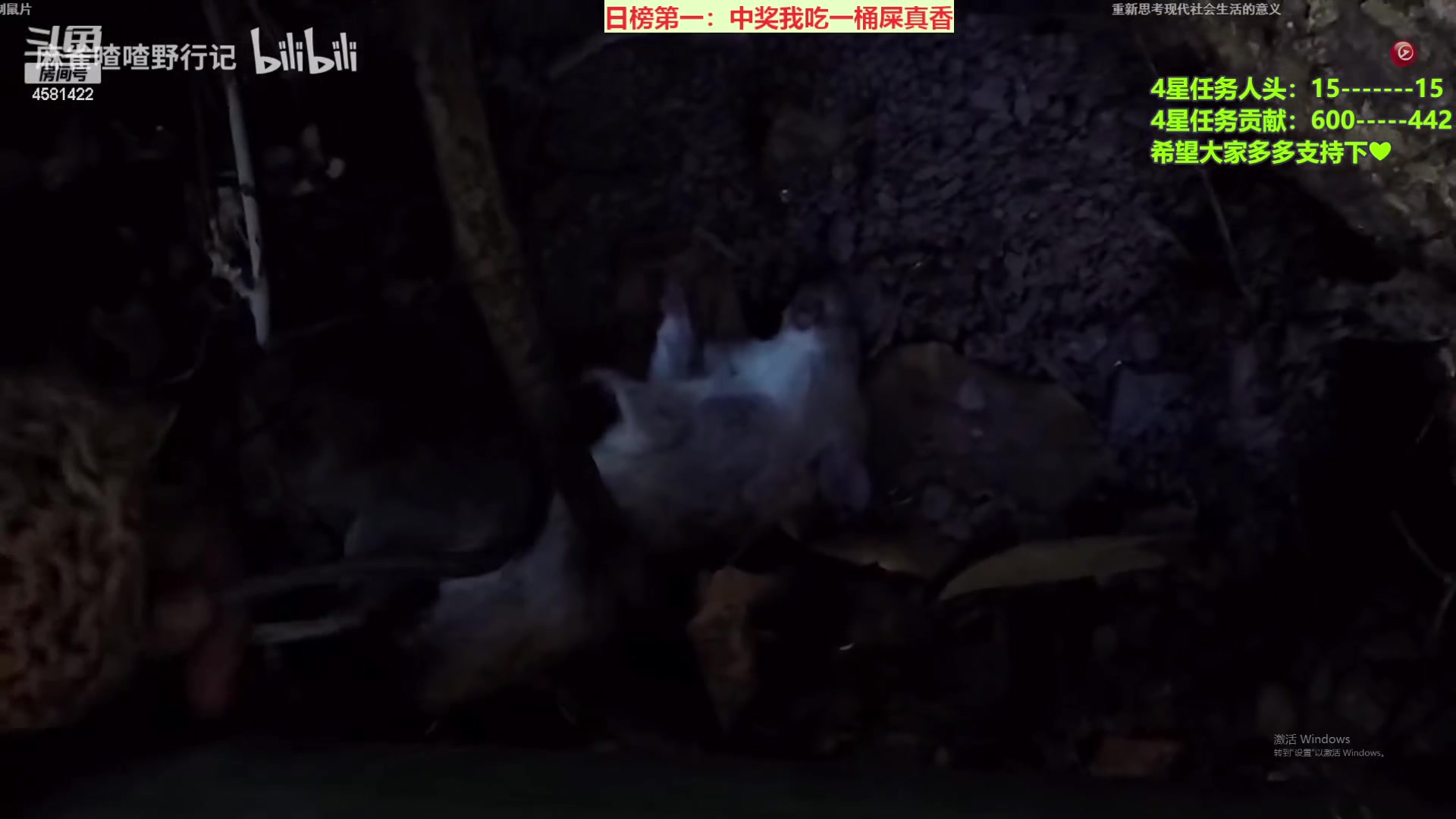 【2023-01-18 19点场】迷人的卿姐姐i：距离除夕倒计时3天~