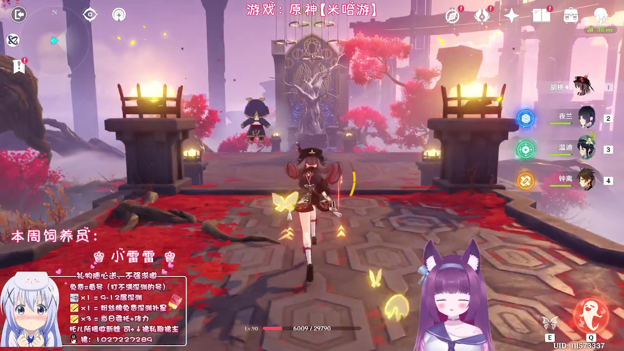 【2023-01-21 21点场】Corgi酱紫：张灯结彩过新年咯