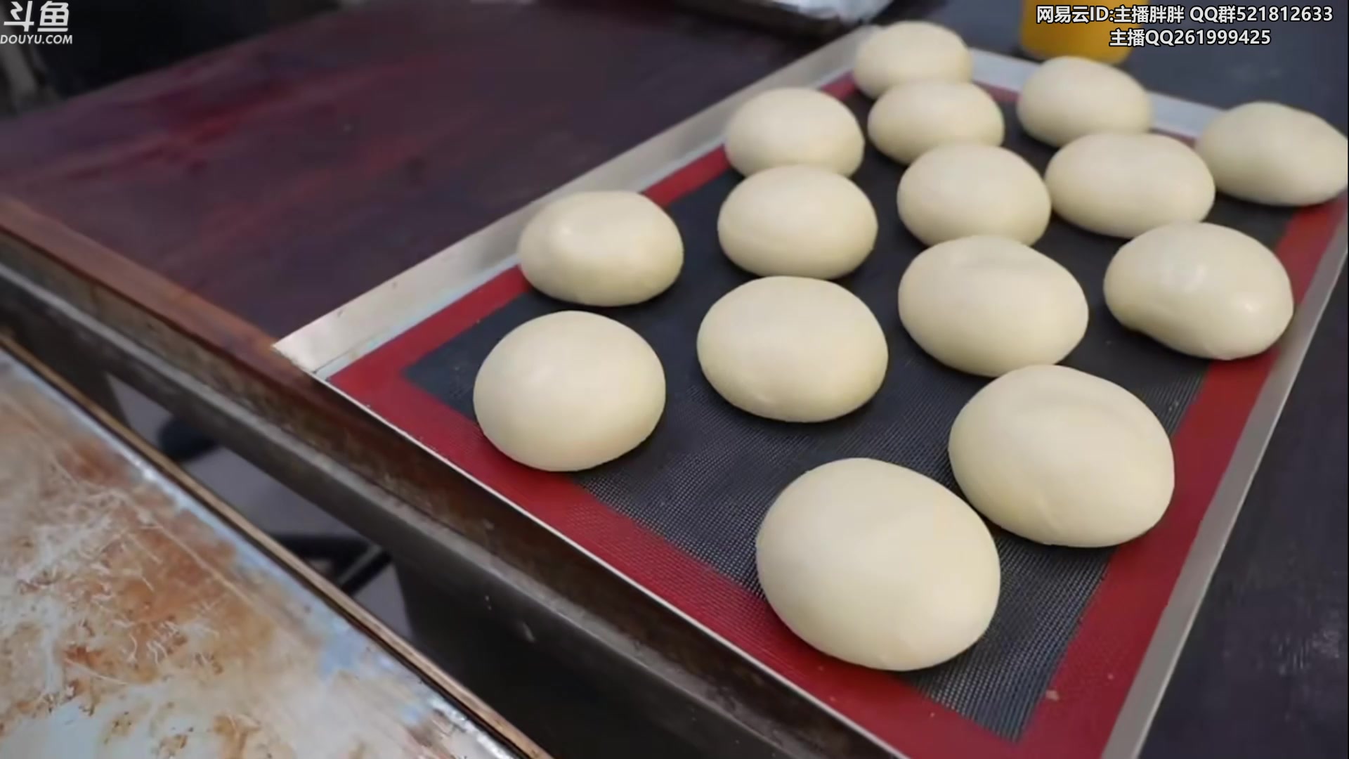 【2023-01-24 03点场】胖胖灬：胖胖OB：Bo人+阿P 比赛首秀LEC！