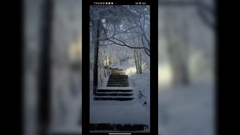 好美的雪景啊，真好看啊