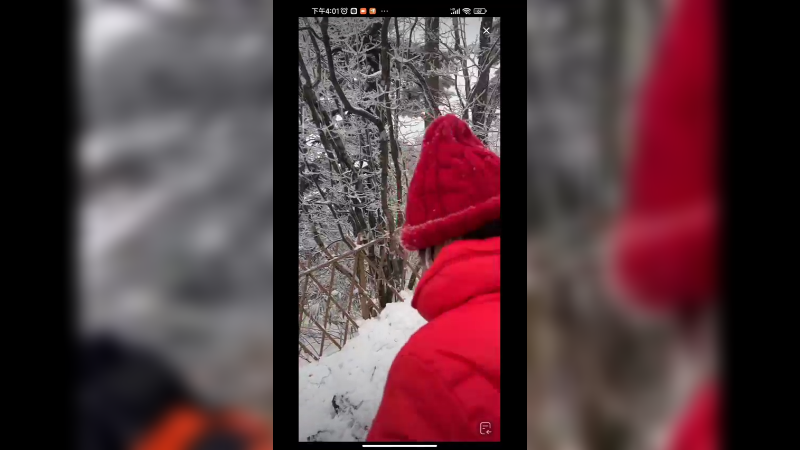 这才是真正的爬雪山啊