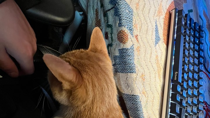 【2023-1-19 22点场】小甜叽QuQ:直播开饭了~