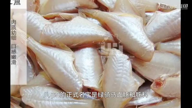 扒皮鱼