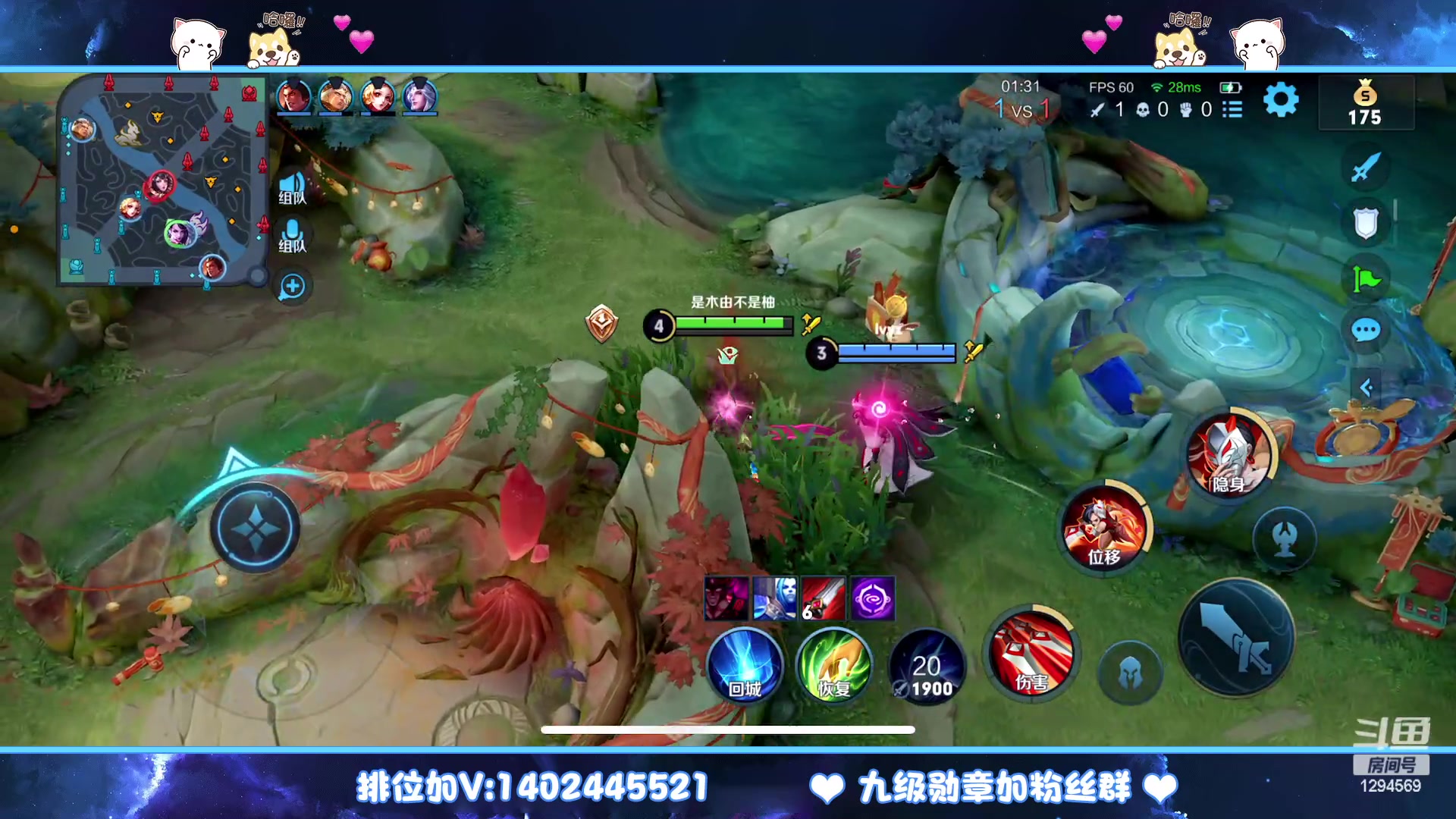 【2023-01-25 15点场】毕竟是柚子：新年快乐哦大家