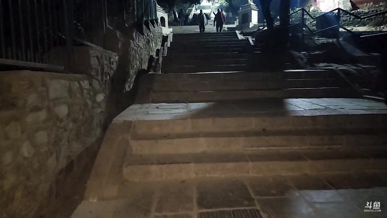 【2023-01-20 21点场】叶子户外：到达尼泊尔day3