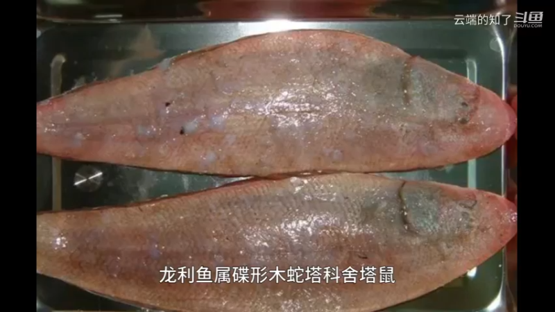 龙利鱼2