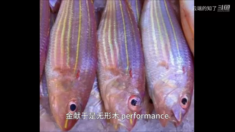 金线鱼