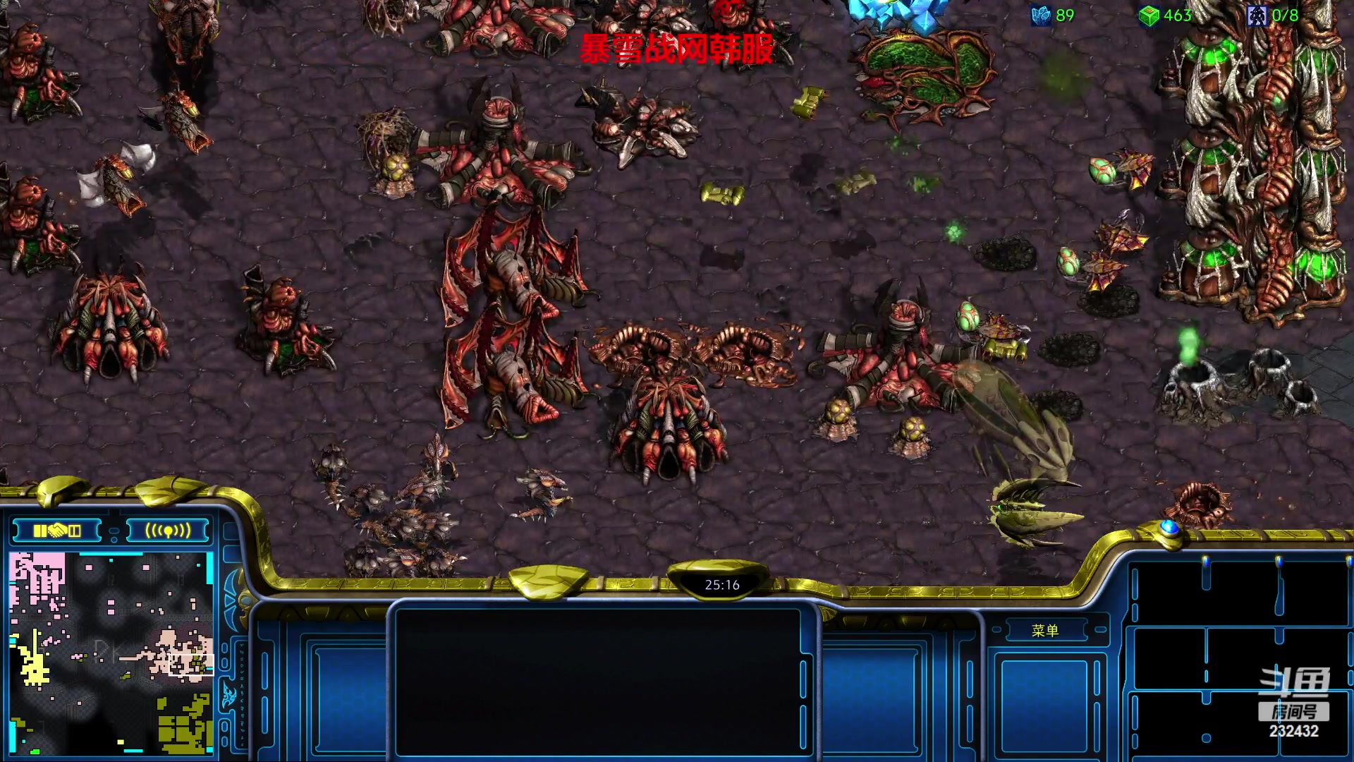 【2023-01-25 23点场】星际DSA联赛：国服没了！