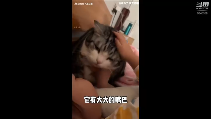 【2023-01-26 16点场】板板OwO：【板板】新年快乐兄弟们