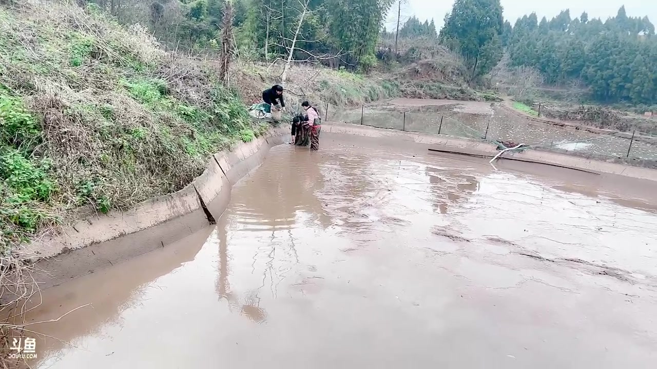 【2023-01-24 08点场】昔恩小姐姐：【小奶团】新年快乐哦~~