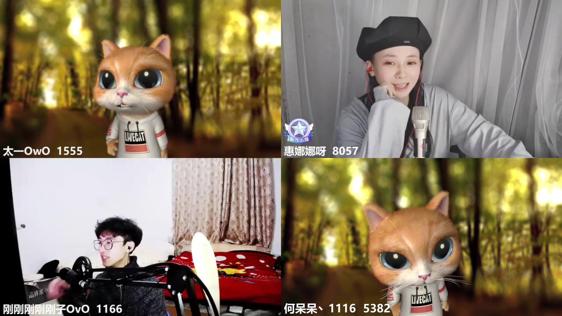 【2023-01-26 02点场】何呆呆丶1116：【小奶团】二台金毛狮王上线