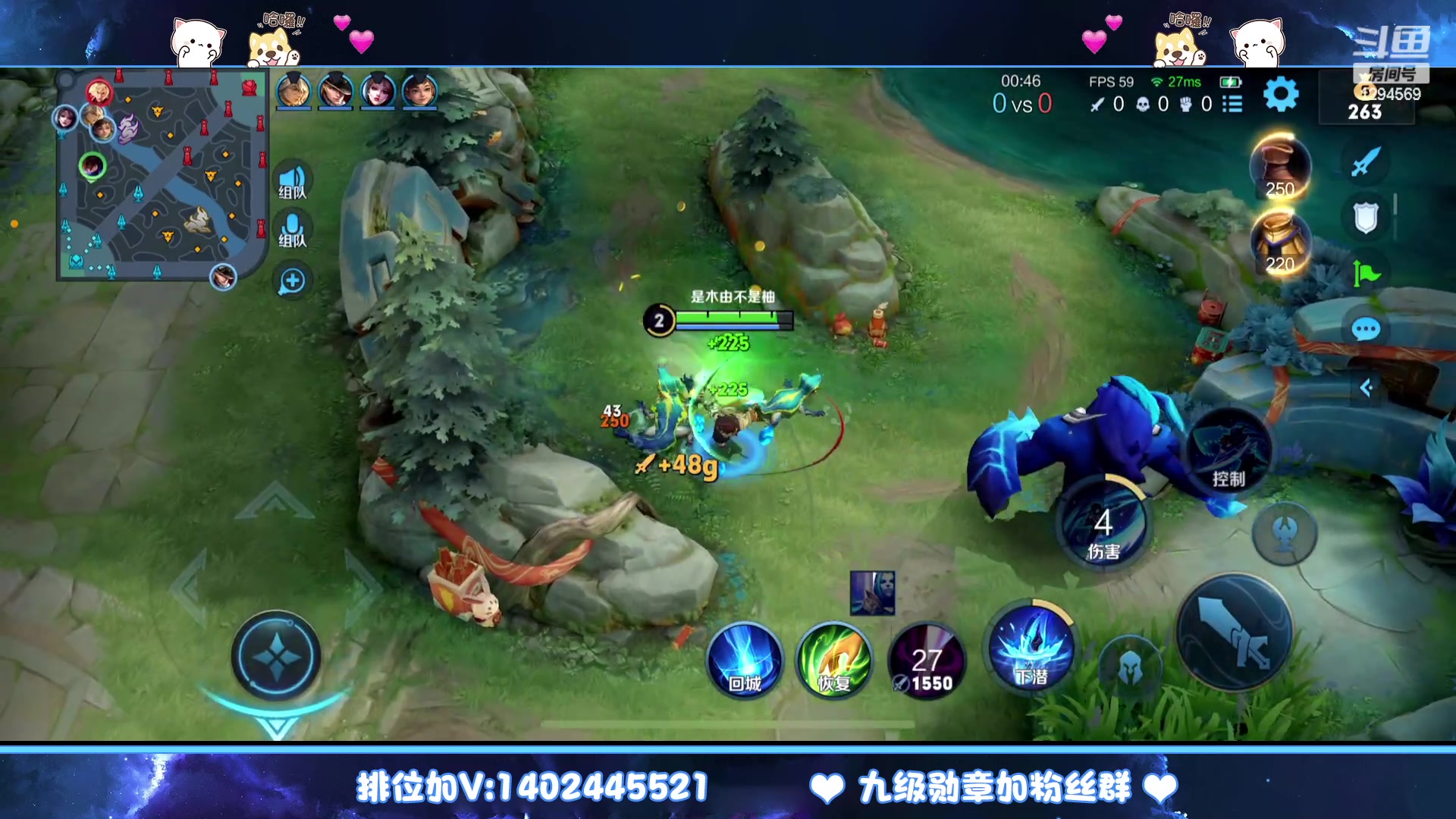 【2023-01-27 03点场】毕竟是柚子：q五排上星！不服就干