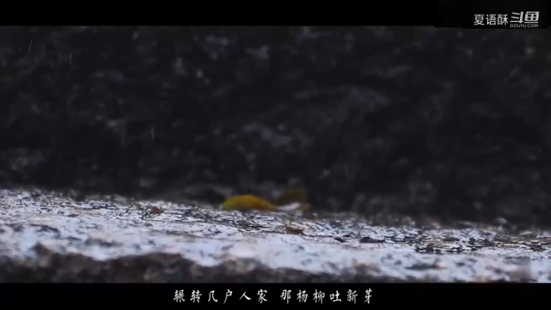 碧桃韵满树-混剪