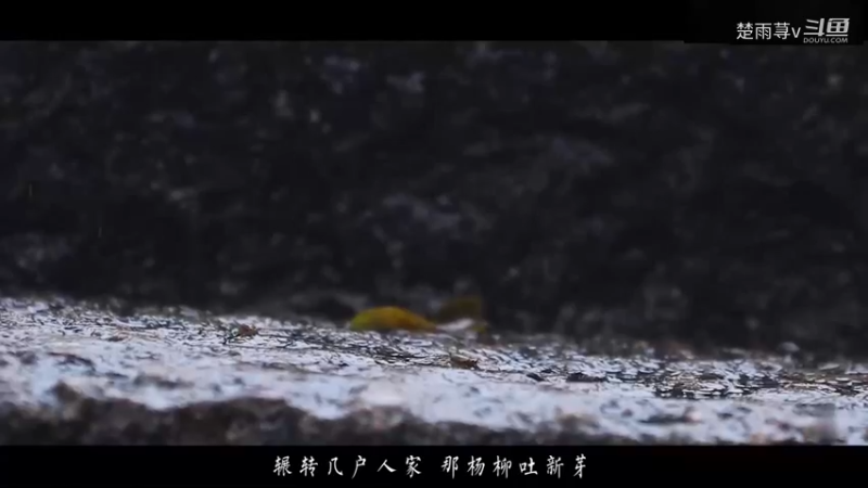碧桃韵满树-混剪