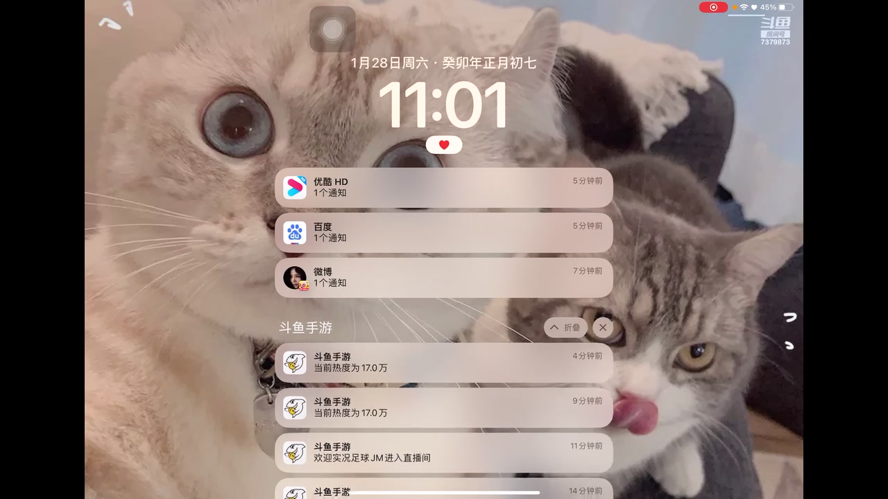 【2023-1-28 10点场】奇缘酱Qiyuan:【直播】四指巅峰蛋仔