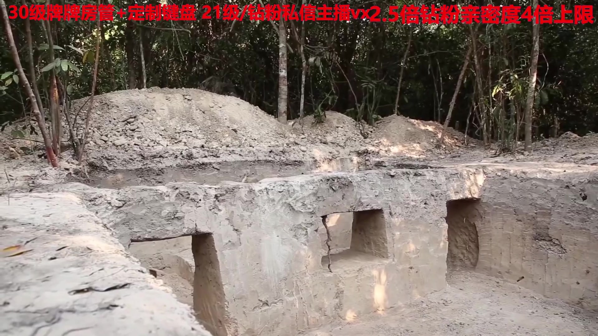 【2023-01-28 05点场】呆妹儿小霸王：【钻粉2.5倍】：一起see