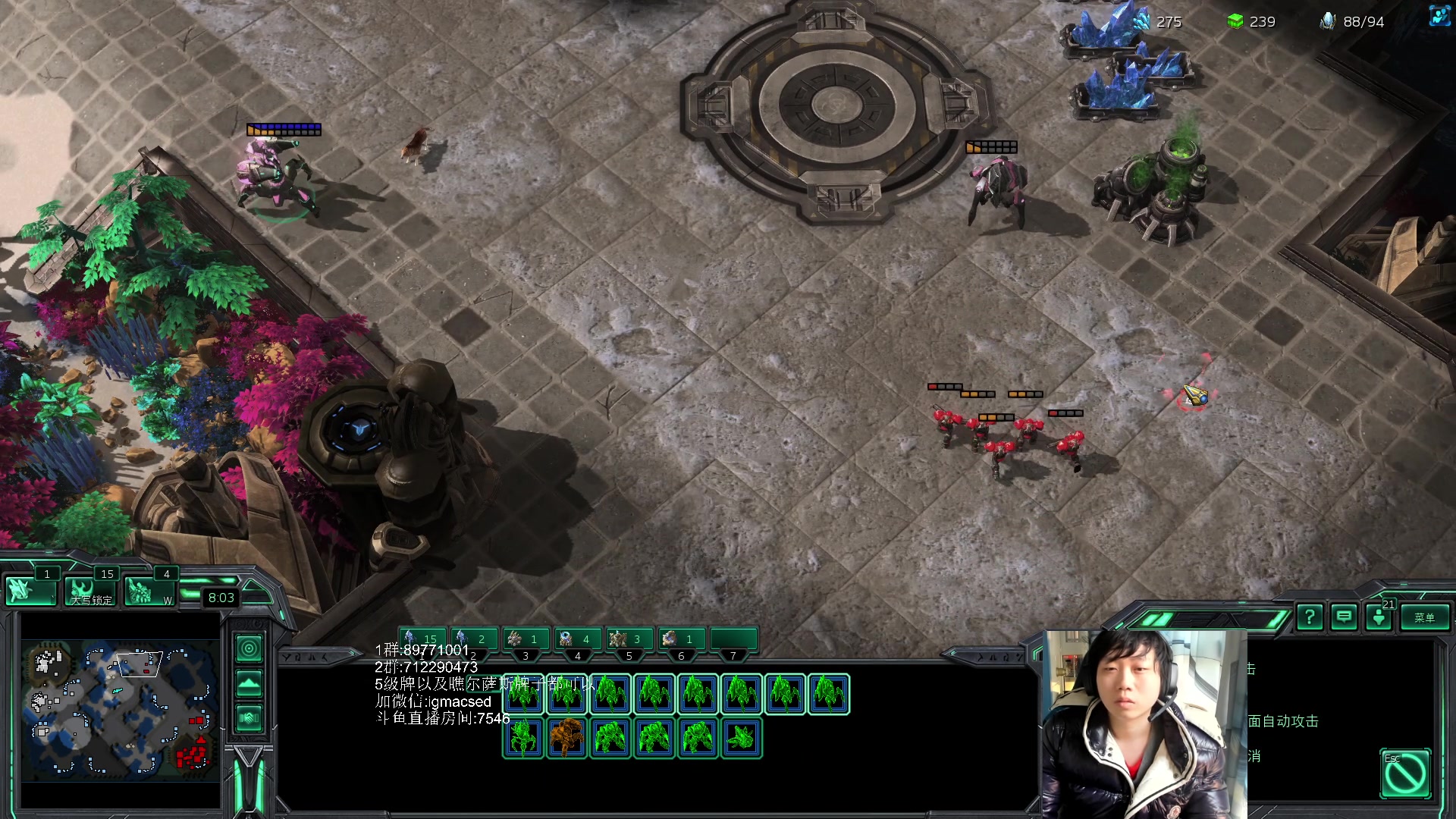 【2023-01-27 14点场】igmacsed：卷起来，卷起来，4点集训