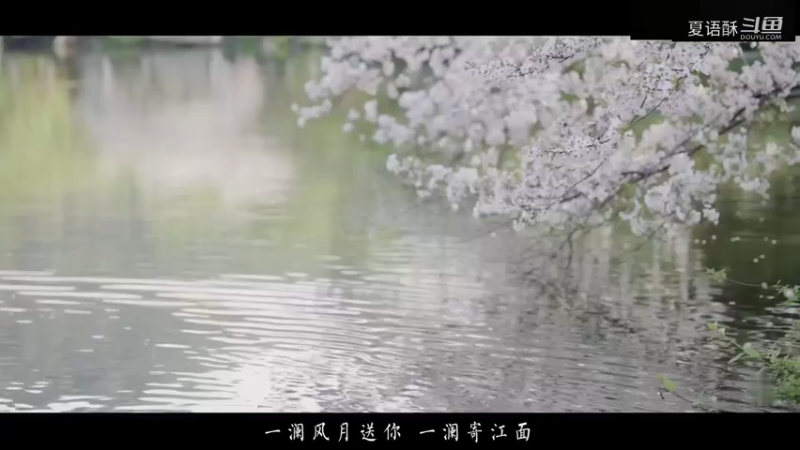 云芊溪桥畔-混剪