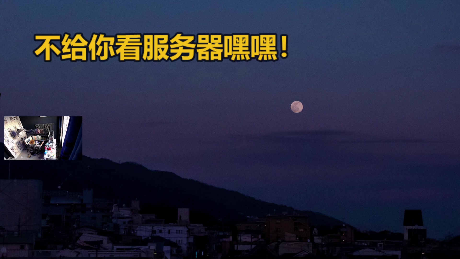 【2023-01-29 13点场】斯祥丶：独狼的生存日常