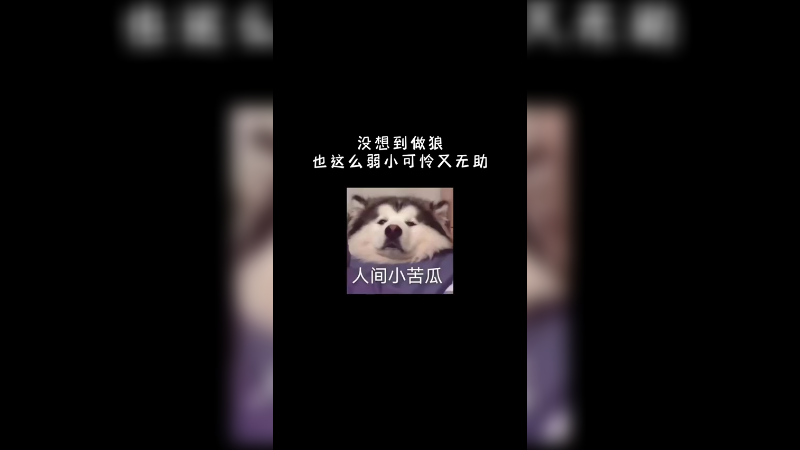 队友没了我绝不独活 玩的就是一个重情义