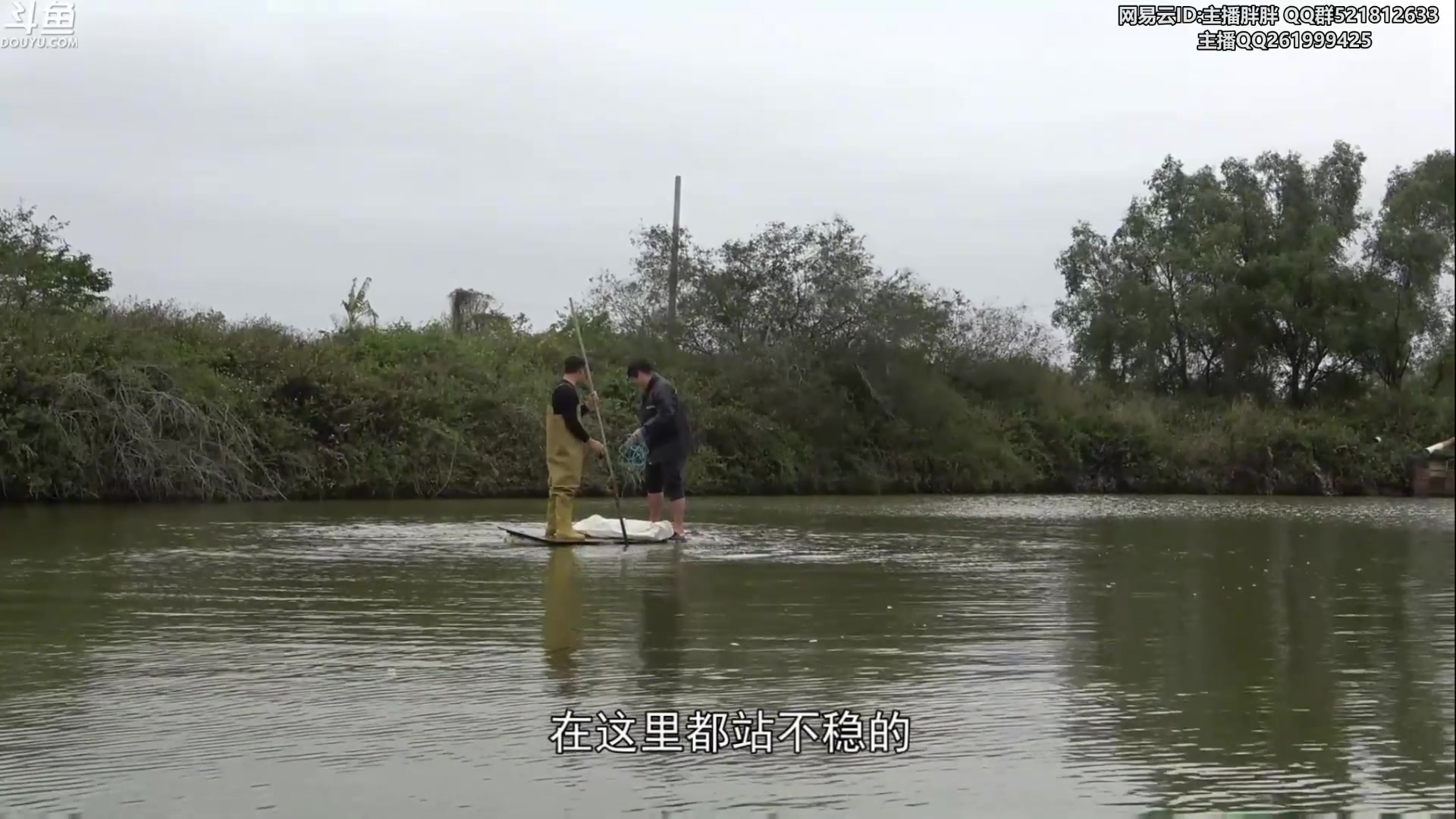 【2023-01-29 03点场】胖胖灬：胖胖OB：Bo人+阿P 欧洲赛区比赛！