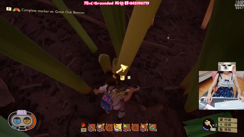 【主机其他游戏】丶干物喵的精彩时刻 20230129 06点场