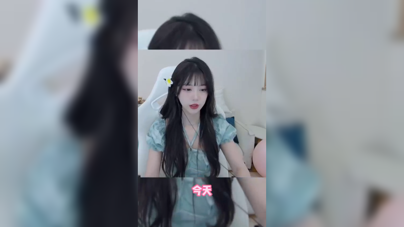 龟壳艾琳，憨八龟一个