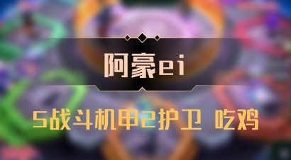 【阿豪ei】5战斗机甲2护卫 吃鸡