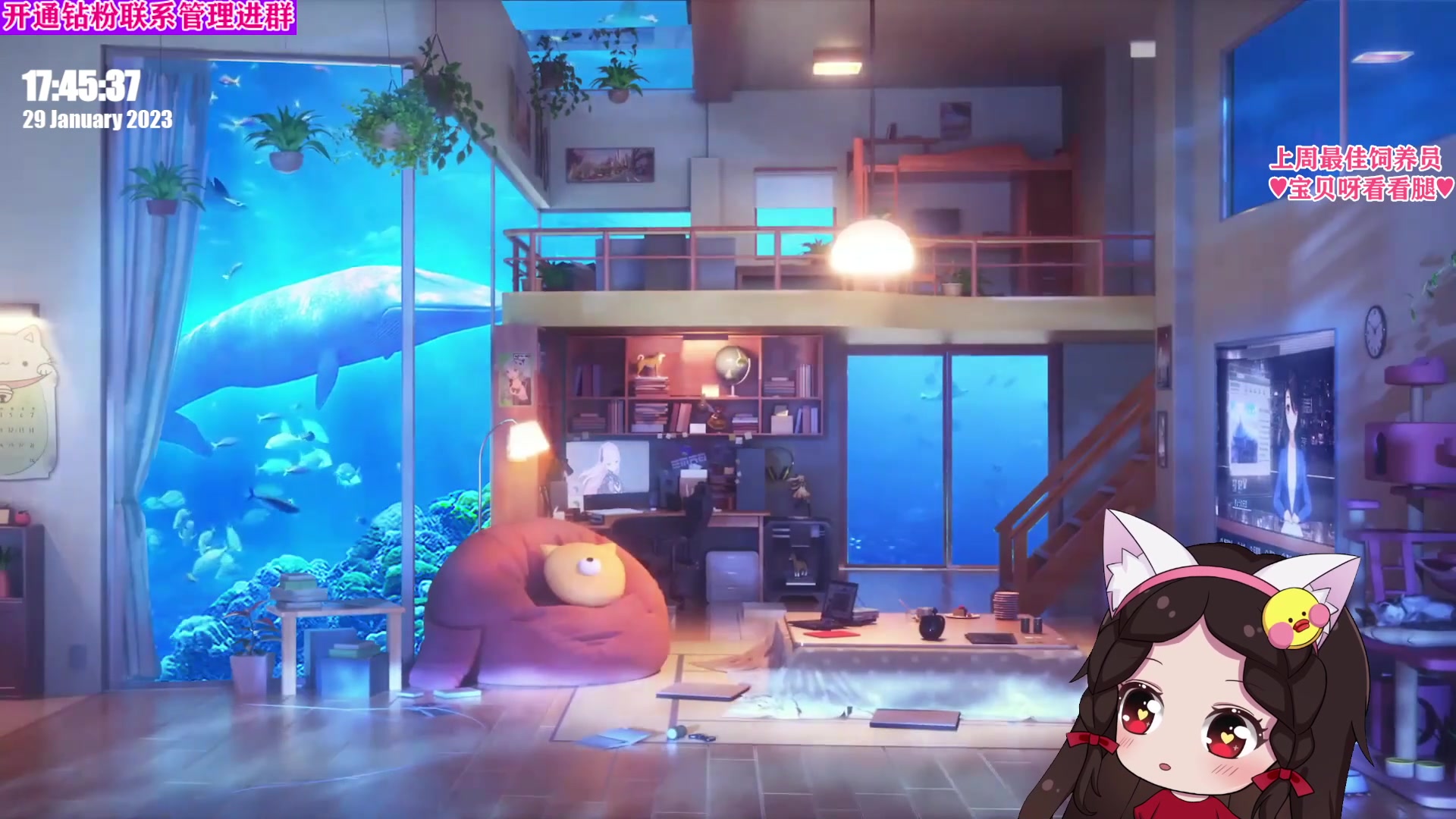 【2023-01-29 17点场】果小果是个弟弟：果小果：恭喜鱼头喜提9999999粉丝牌