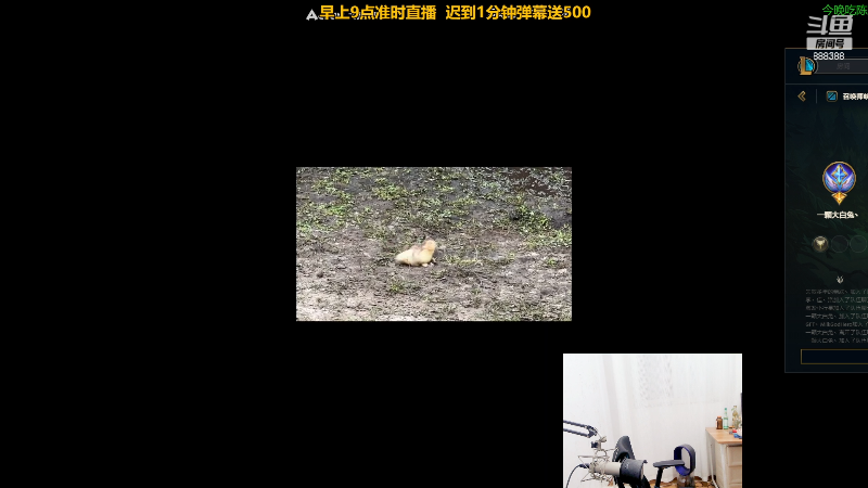 【英雄联盟】你的大湿兄zZ的精彩时刻 20230131 20点场